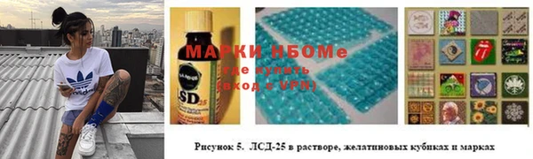 винт Ельня