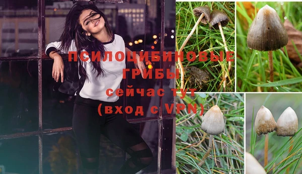 ПСИЛОЦИБИНОВЫЕ ГРИБЫ Дмитровск