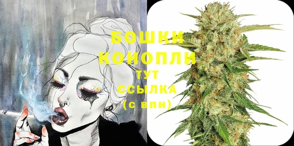 винт Ельня